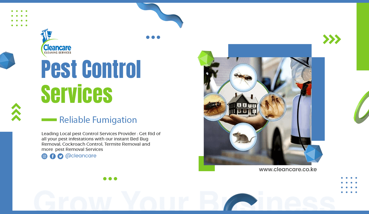 Best Fumigation and Pest Control Services in Werugha